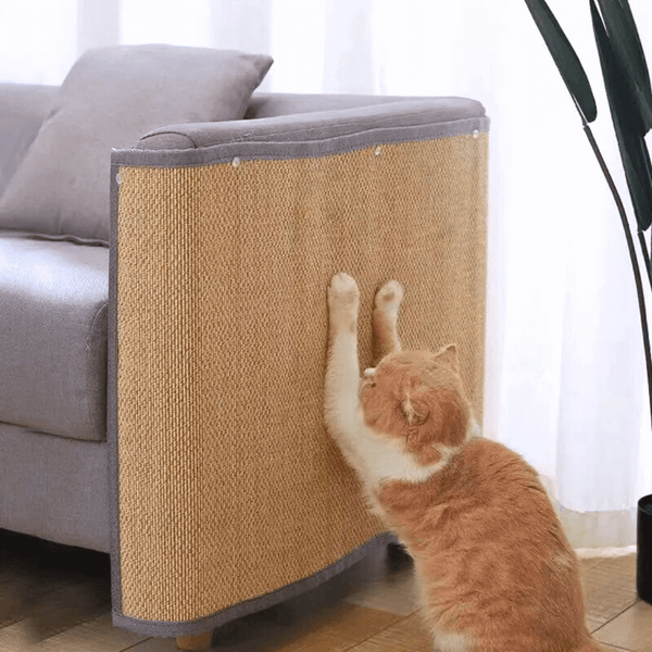 Arranhador e protetor de sofá para gatos