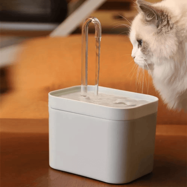 Fonte Hidratante para Gatos